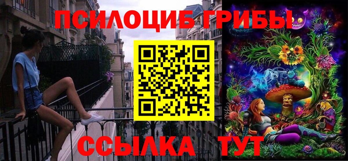 Бийск  Псилоцибиновые грибы мухоморы  Вход с VPN 
